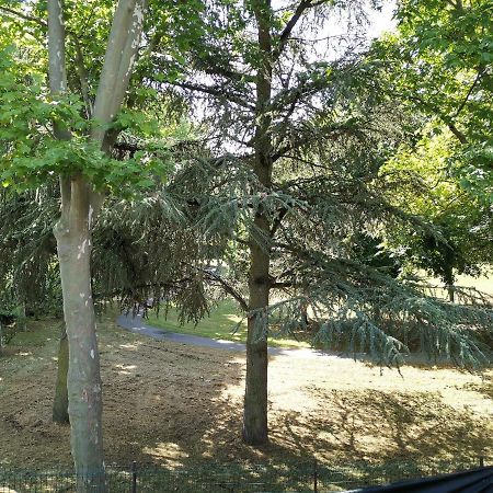 Chambre D'Hote Dans Une Maison Avec Parking Privee Сент-Этьен Экстерьер фото